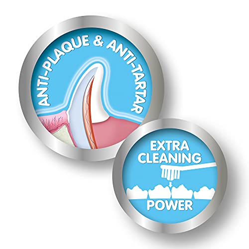 Beaphar Double-Ended Toothbrush - Dental Care for Dogs