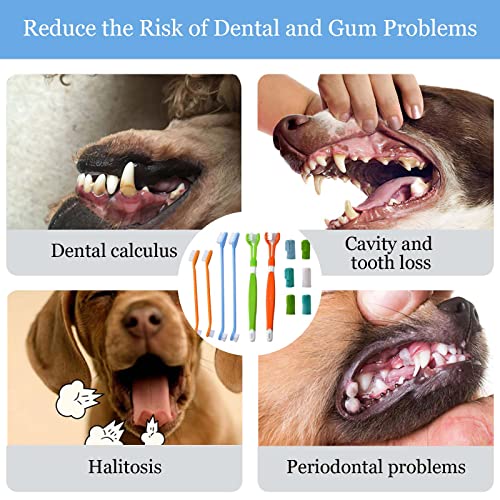 KissDate Dog Toothbrush Variety Pack - Multi-Angle Brushes