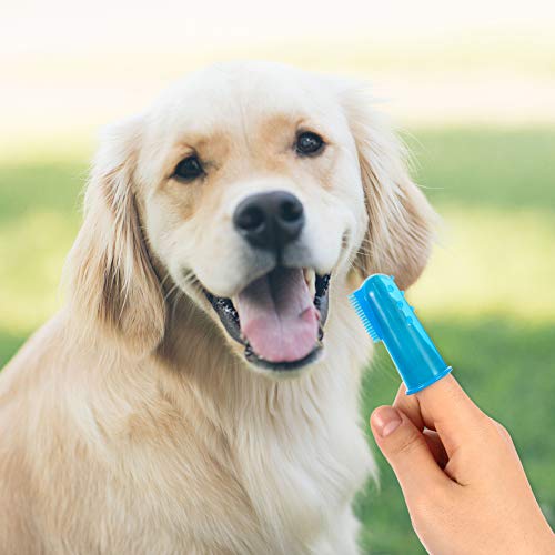 3 Sided Dog Toothbrush Set with Silicone Finger Brush