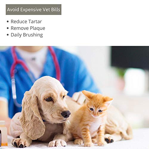 Organic Bamboo Pet Toothbrush, Pack of 2