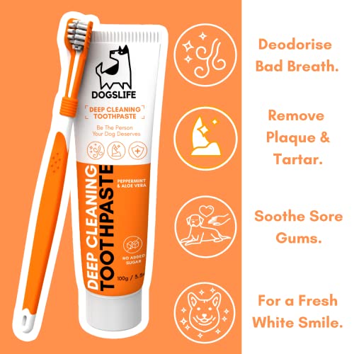 Triple Headed Dog Toothbrush & Toothpaste Dental Kit