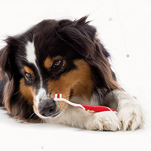 Beaphar Double-Ended Toothbrush - Dental Care for Dogs