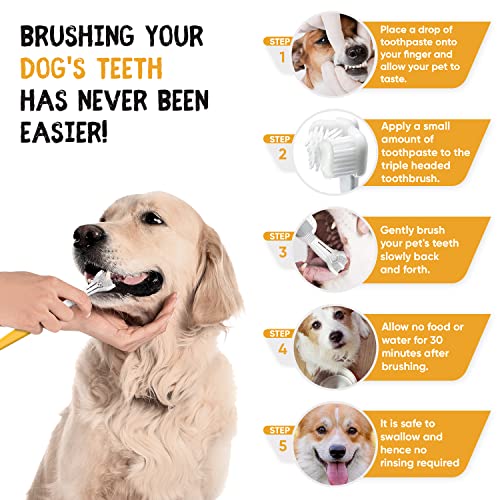 Dog Toothbrush, Toothpaste Kit, Finger Brush for Dental Care