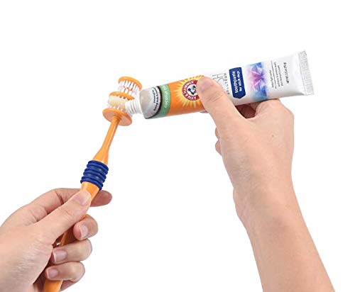 Coconut Dental Kit for Dogs, Removes Plaque & Tartar