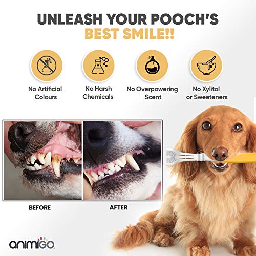 Dog Toothbrush, Toothpaste Kit, Finger Brush for Dental Care