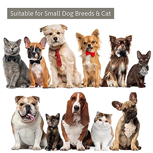 Organic Bamboo Pet Toothbrush, Pack of 2