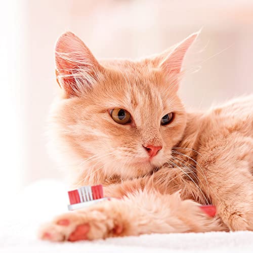 Beaphar Double-Ended Toothbrush - Dental Care for Dogs