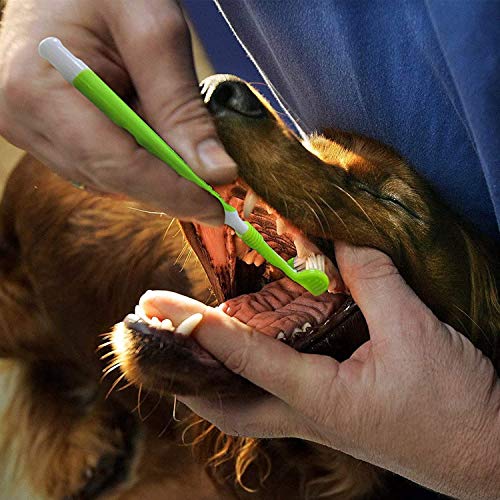 KTL 3 Pcs Triple Head Dog Toothbrush