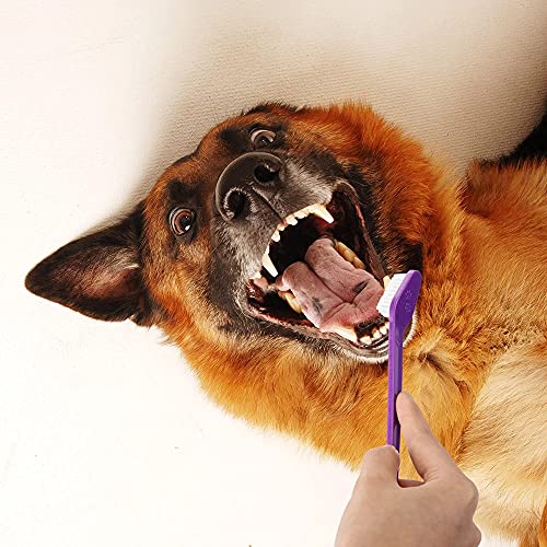 Double Ended Dog & Cat Dental Oral Care Toothbrush