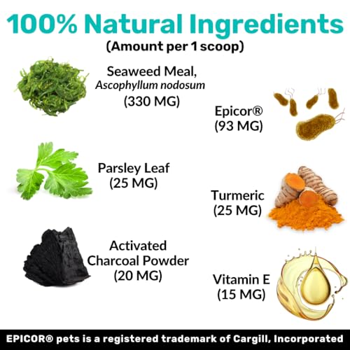 NutriPaw Dental Powder for Dogs & Cats - Fresh Breath & Healthy Gums - Fuss-Free