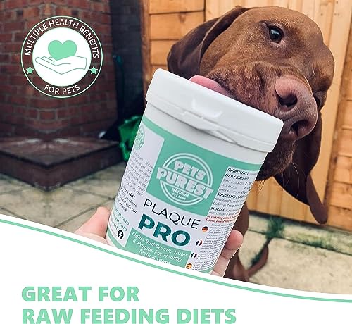 Pets Purest Plaque Off Powder - 185g Dog Oral Care