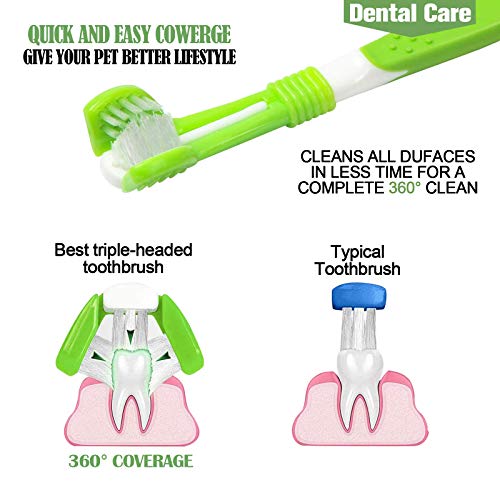KTL 3 Pcs Triple Head Dog Toothbrush