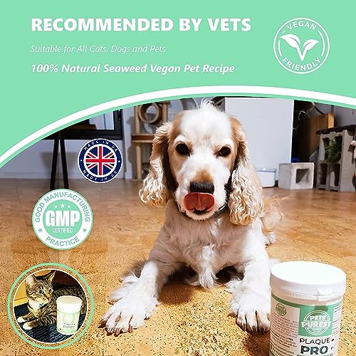 Pets Purest Plaque Off Powder - 185g Dog Oral Care