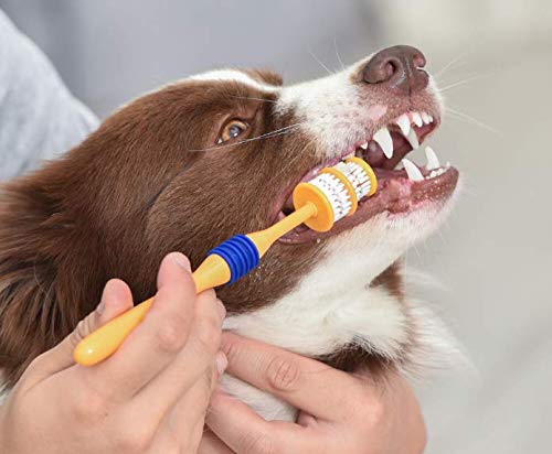 Coconut Dental Kit for Dogs, Removes Plaque & Tartar