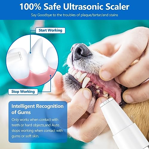 Ni-SHEN Pet Dental Care Kit for Dogs, Cats