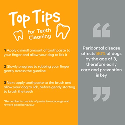 ARM & HAMMER Coconut Mint Dog Dental Spray, 118ml