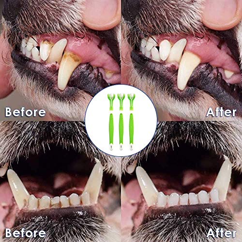 KTL 3 Pcs Triple Head Dog Toothbrush