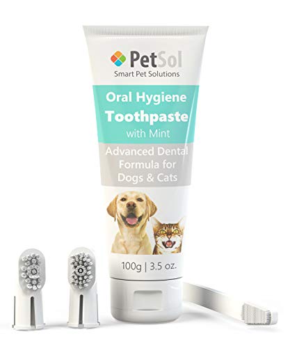 PetSol Dental Care Kit for Dogs Cats + 3 Toothbrushes