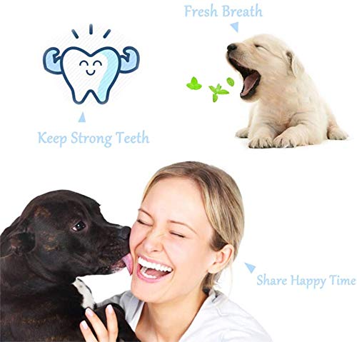 KTL 3 Pcs Triple Head Dog Toothbrush