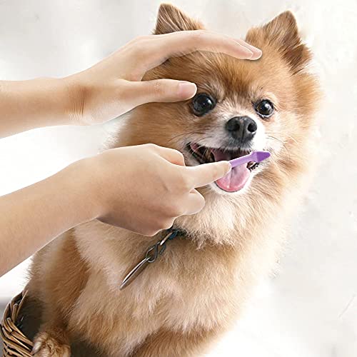 Double Ended Dog & Cat Dental Oral Care Toothbrush