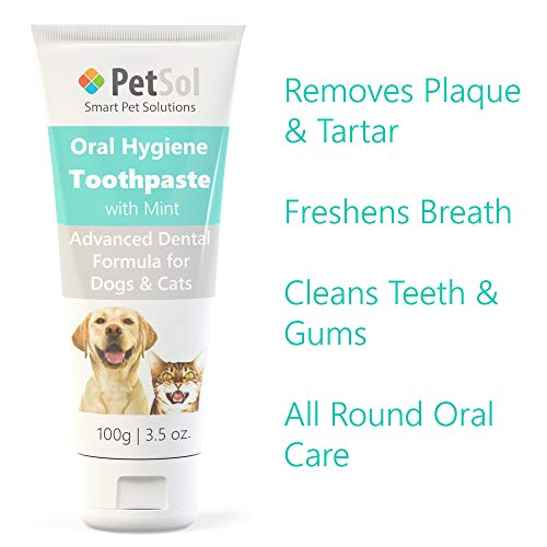 PetSol Dental Care Kit for Dogs Cats + 3 Toothbrushes