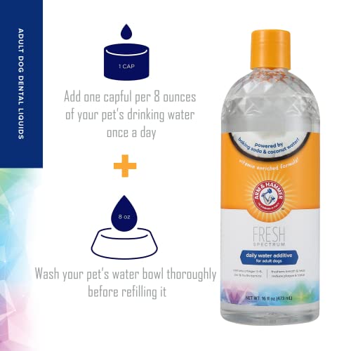 ARM & HAMMER Coconut Mint Dog Water Additive