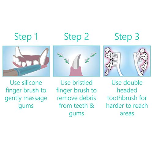 PetSol Dental Care Kit for Dogs Cats + 3 Toothbrushes