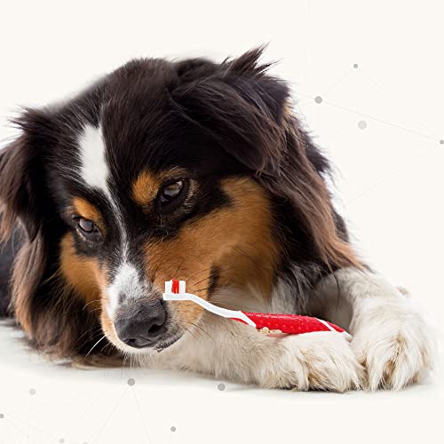 Beaphar Dental Care Kit for Dogs & Cats