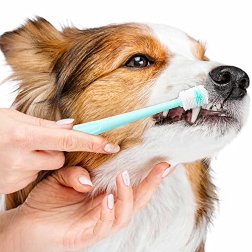 Small Dog 360 Degree Silicone Toothbrush Pack
