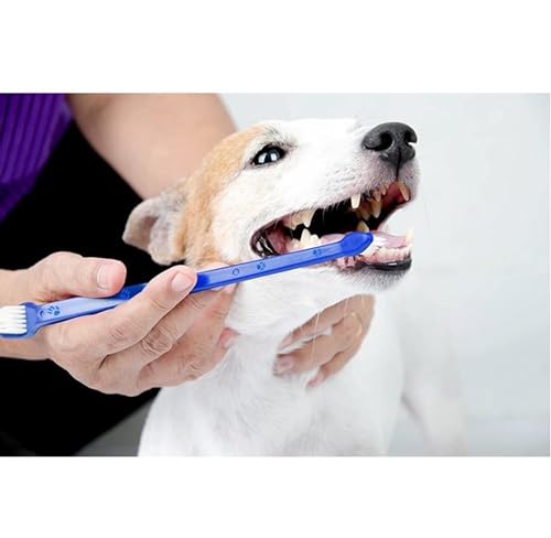 Double Ended Dog & Cat Dental Oral Care Toothbrush