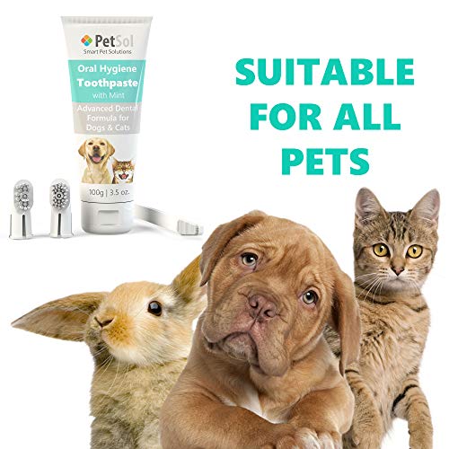 PetSol Dental Care Kit for Dogs Cats + 3 Toothbrushes