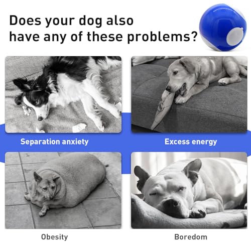 Interactive Smart Dog Ball Toy, Rotating Chaser Ball