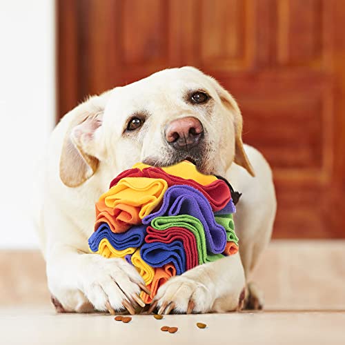 Interactive Snuffle Mat Toy for Foraging Dogs