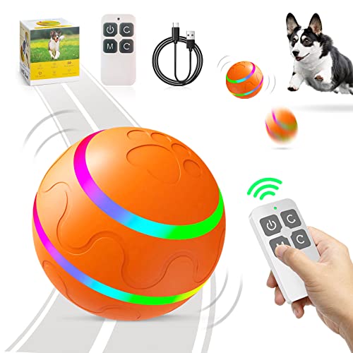 Smart Remote Control Wicked Ball for Active Dogs