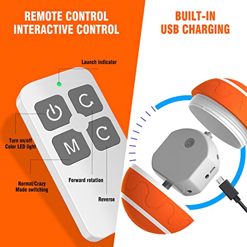 Smart Remote Control Wicked Ball for Active Dogs