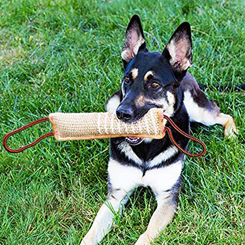FANTESI Dog Tug Toy Jute Bite Pillow Toy