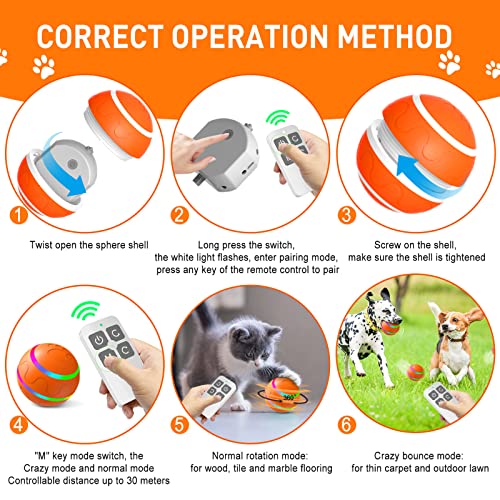 Smart Remote Control Wicked Ball for Active Dogs