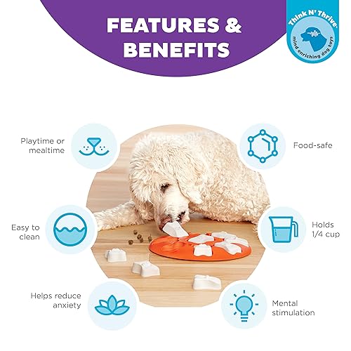 Nina Ottosson Dog Smart Interactive Treat Puzzle Toy