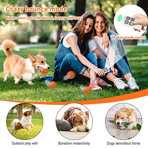 Smart Remote Control Wicked Ball for Active Dogs
