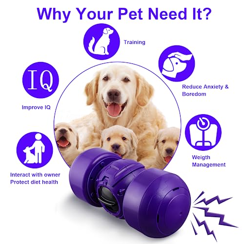 Leipple Interactive Slow Feeder Toy for Large Dogs