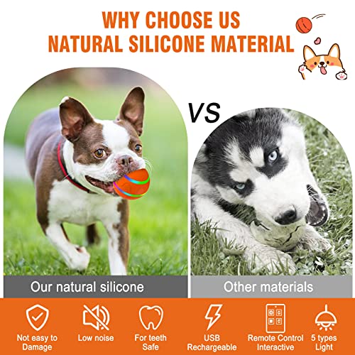 Smart Remote Control Wicked Ball for Active Dogs