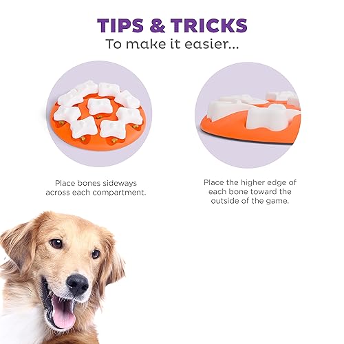 Nina Ottosson Dog Smart Interactive Treat Puzzle Toy