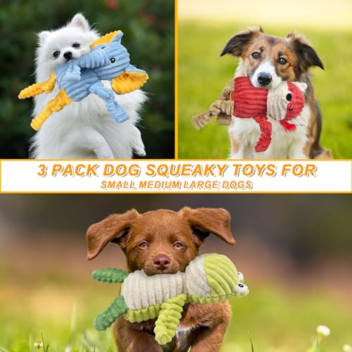 Ousiya 3-Pack Squeaky Plush Dog Toys Bundle