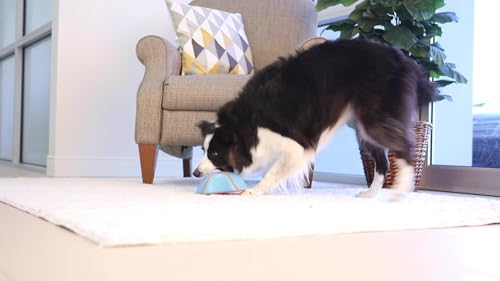 Chuckit! Indoor Dog Self Fetch Squeaker Toy