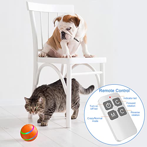 Remote Control Smart Interactive Dog Ball Toy with LED