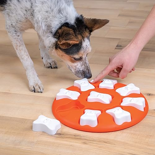 Nina Ottosson Dog Smart Interactive Treat Puzzle Toy