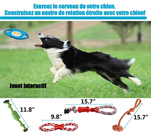 Interactive Dog Toy Set for Small & Medium Dogs