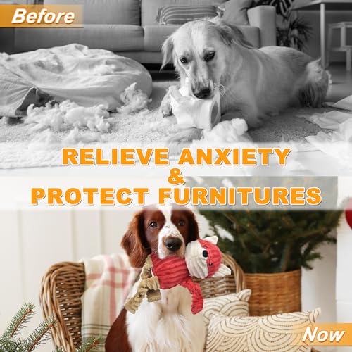 Ousiya 3-Pack Squeaky Plush Dog Toys Bundle