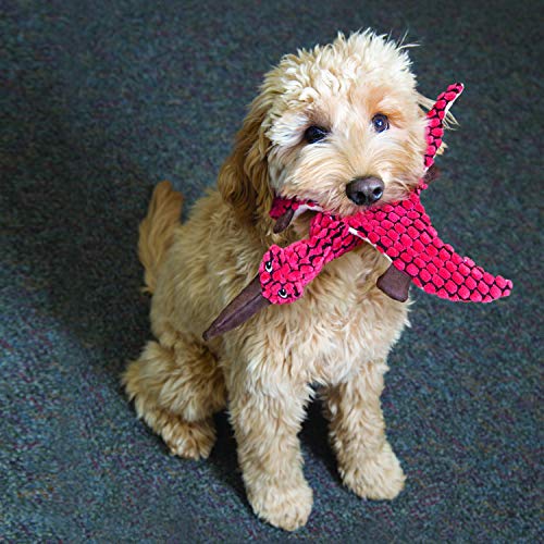 Large KONG Dynos T-Rex Dog Toy