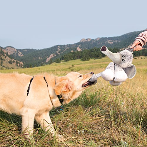 Large Multicolour KONG Stretchezz Bear Dog Toy